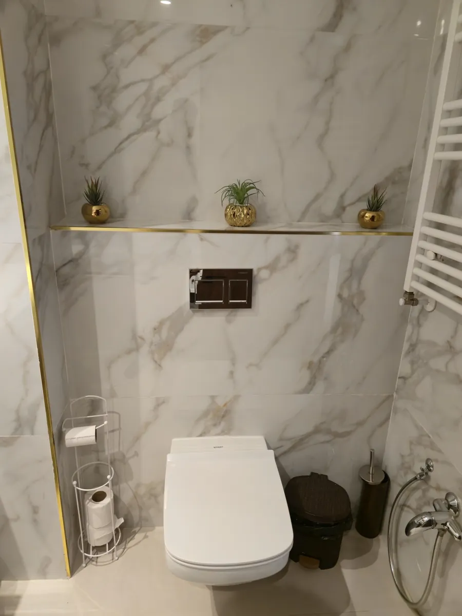 Walk-in shower with marble walls