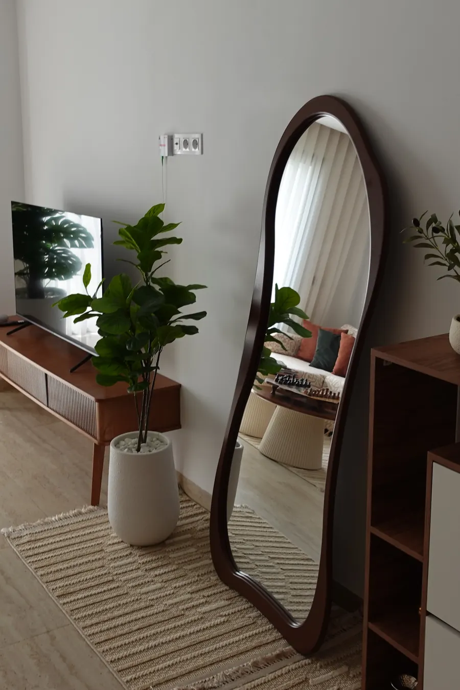 Living room corner with TV, plant and arched floor mirror